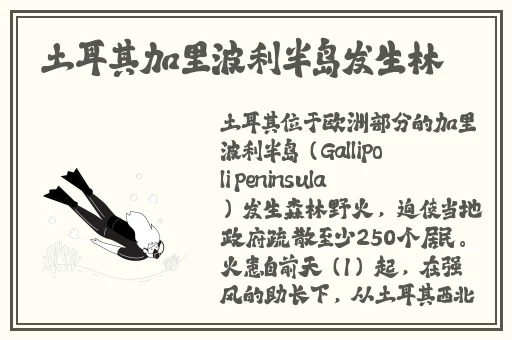 adc年龄确认欢迎大驾光临